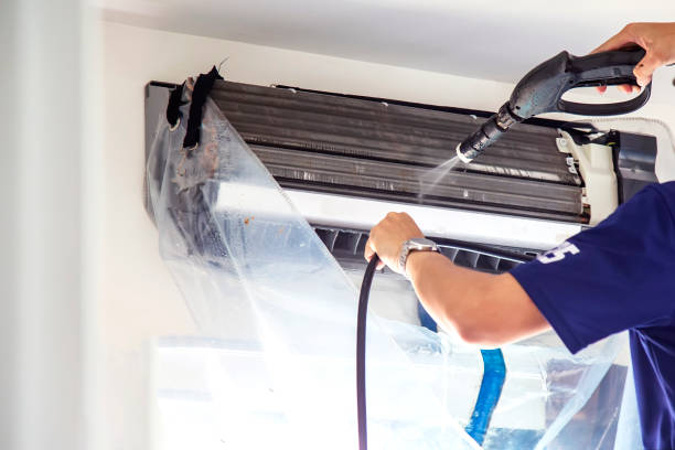 Best Air Duct Sanitizing Services  in Waelder, TX