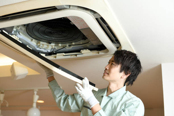 Best Local Air Duct Cleaning Services  in Waelder, TX