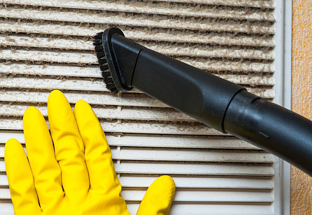 Best Air Duct Cleaning Near Me  in Waelder, TX